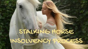 stalking horse
