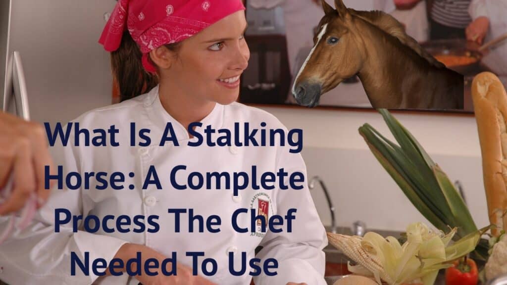 what is a stalking horse