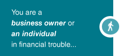 You are a Business Owner or Individual