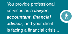 You are a Lawyer, Accountant, or Financial Advisor